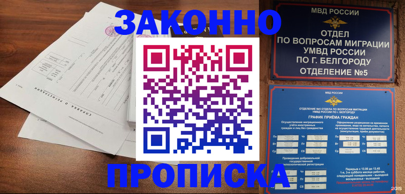 прописка в Волосово